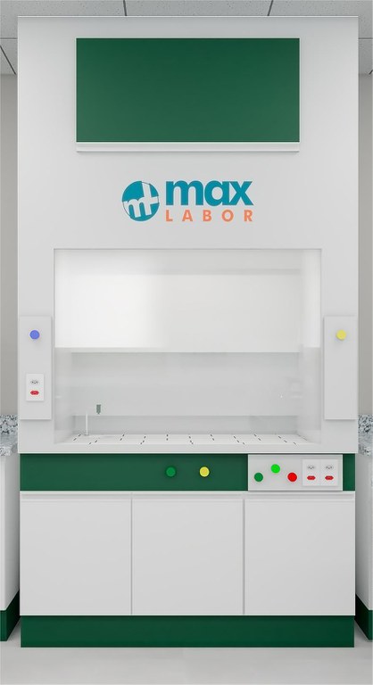 capela max labor.jpeg